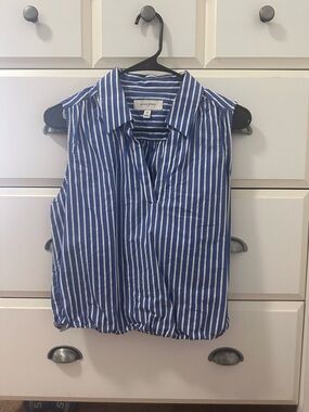 Banana Republic Blue and White Striped Sleeveless Blouse